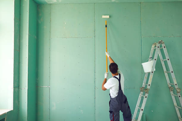 Best Black Mold Removal  in Gluckstadt, MS