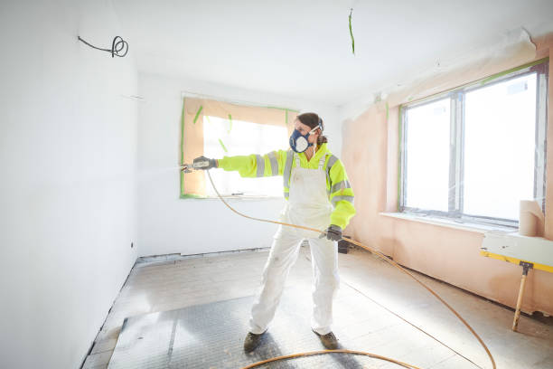 Professional Mold Removal in Gluckstadt, MS