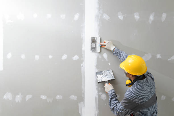 Best Crawl Space Mold Remediation  in Gluckstadt, MS
